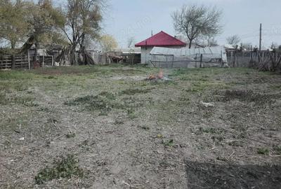 Casă cu Teren 1140 Mp în Străjescu - 2