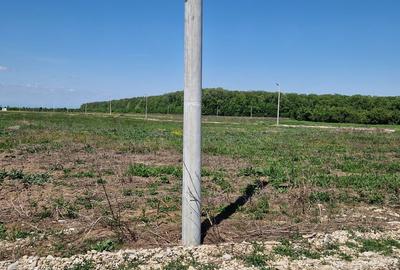 Spațiu comercial, în Cocani - 7