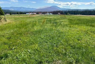 Teren partial intravilan 30,930 mp Poiana Stampei-DN E58, Suceava - 7