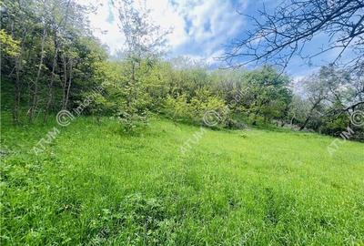 Teren intravilat de 1811 mp situat in Sibiel judetul Sibiu