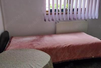 Inchiriez camera la curte - 2