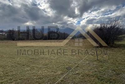 Teren Zarnesti | Tohanita | Intravilan | PUZ aprobat | Fara Utilitati | 9.053mp - 16