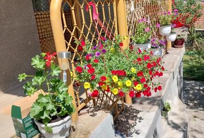 Casă cu 4 camere în Central - 9