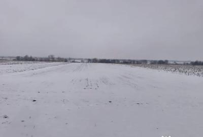 Teren de 6000 mp, în Horodnic - 1