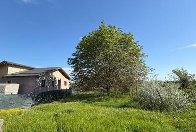 Teren Construcții intravilan de 1090 mp, în Câmpineanca