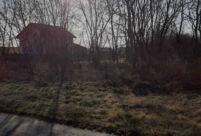 Teren de 1786 mp, în Parța - 1