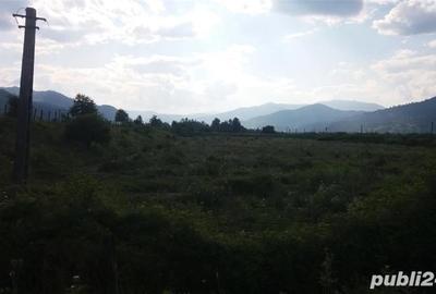 Teren de 1000 mp, în Central - 4