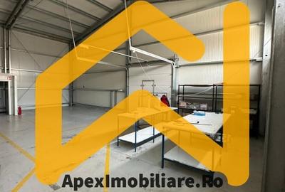 Spațiu comercial, de 550 mp, în Malu Roșu - 13