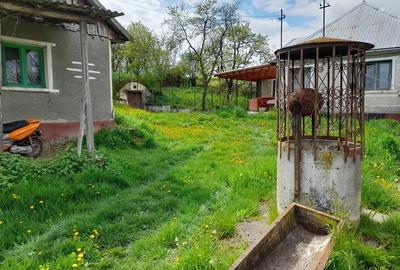 Casă cu Teren 3096 Mp în Boianu Mare - 3
