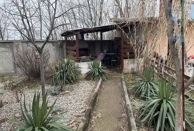 Casă cu 8 camere cu Teren 5000 Mp în Malu Mare - 5