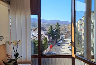 Apartament cu 2 camere decomandat în Cetate - 8