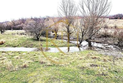 Teren agricol extravilan de 25000 mp, în Secaș - 4
