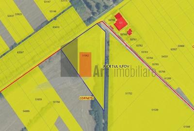 Teren agricol extravilan de 11500 mp, în Cornetu - 2