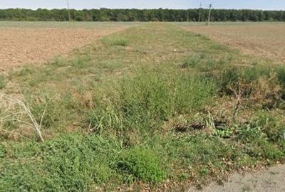 Teren în Găneasa - 4