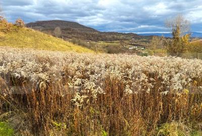 Teren extravilan de vanzare, 2400 mp, zona Valea Ghinzii - 4