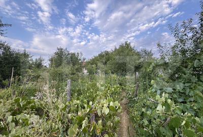Casa batranesca, 97,57 mp utili, 1100 mp teren, Podari - 1