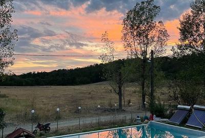 Casă cu 8 camere cu Teren 10800 Mp în Galicea - 1