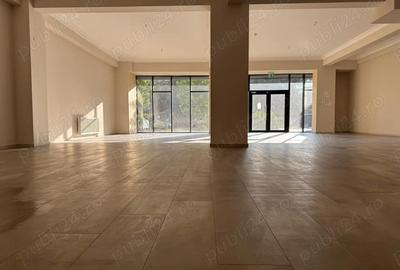 Spațiu comercial, de 161 mp, în Ultracentral - 9