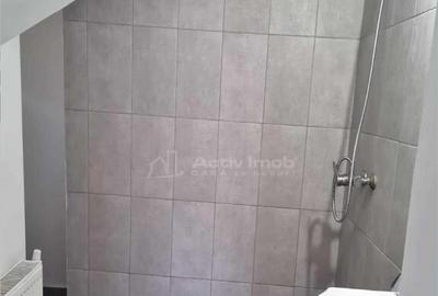 Casa / vila 15 camere - Bartolomeu - se accepta muncitori - 8