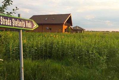 Teren intravilan de vanzare Ciofliceni | Ghermanesti | Snagov - 8