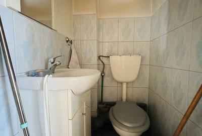 Apartament cu 3 camere în Parcul Carol - 8
