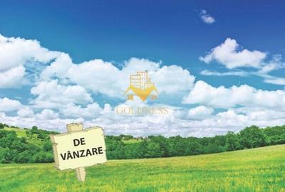 Teren de vanzare, Intravilan, 2060 mp, Carpinis, Jud. Alba, 45 euro mp - 1