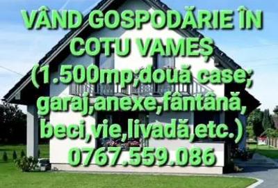 Casă cu 6 camere cu Teren 1500 Mp în Central - 1