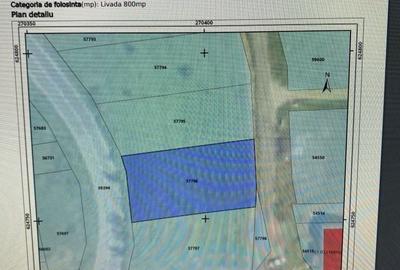 Teren de 800 mp, în Săldăbagiu de Munte - 3