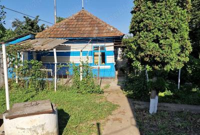 Casă cu 2 camere în Cozia - 4