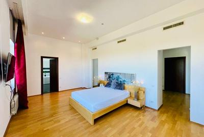 Aleea Privighetorilor- Penthouse 833 mp utili mobilat complet 3600 Euro + TVA - 14