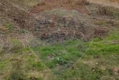 Teren de 1000 mp, în Nord - 2