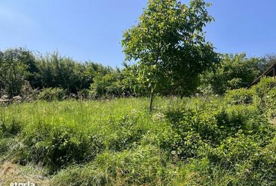 Spațiu comercial, în Bună Ziua