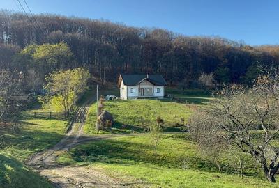 Vanzare  1400mp teren imprejmuit 2 loturi pt casa Adancata - sub padure - 1