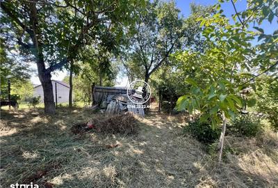 Casă cu 2 camere cu Teren 1940 Mp în Ciurea - 5