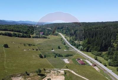 Teren 5,561mp Paltinoasa / Strada principala - 6