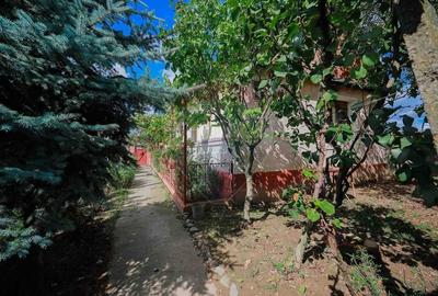 Casa cu 4 camere de vanzare  si teren 4063 mp, in Ineu, Bihor - 17