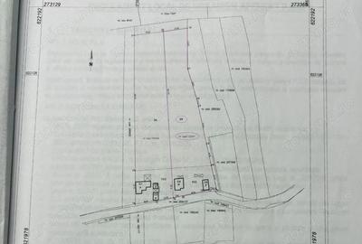 Teren de 3900 mp, în Podgoria - 2