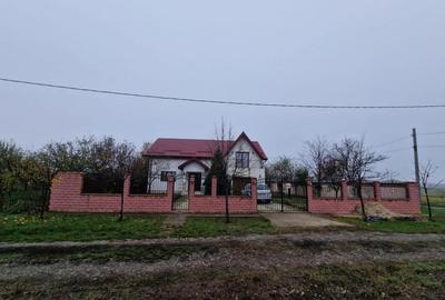 Casa 197 mp, garaj, foisor, gratar, teren 780 mp la 100 m d - 6