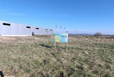 Spațiu comercial, în Prejmer - 6