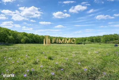 Teren de 2100 mp, în Mitocu Dragomirnei
