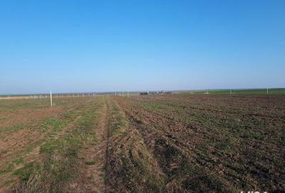 Teren de 805 mp, în Cornești - 8