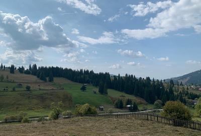 Teren de 7837 mp, în Dorna-Arini