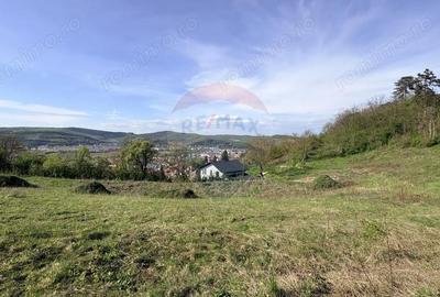 Teren de 15320 mp, în Central - 10