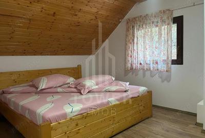 Casă cu Teren 800 Mp în Râu Sadului - 3