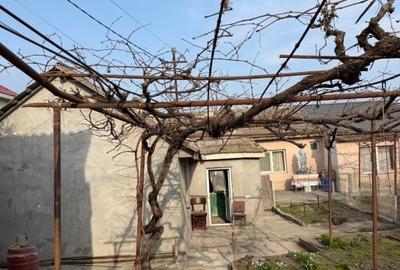 Casă cu 2 camere cu Teren 174 Mp în Nord - 2