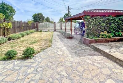 Casa | 356 mpc | Lot 1422 mp | Atelier de creatie | Locuinta/sediu | Baicoi - 29