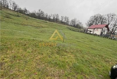 Teren de 11700 mp, în Est - 4