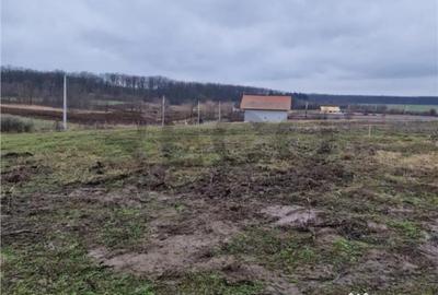 Teren în Păușa - 1