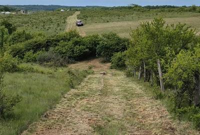 Teren de 1172 mp, în Sălciua Nouă - 2