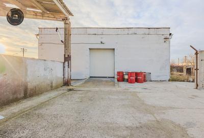 Hala industriala de vânzare – Bod, Brasov - 2